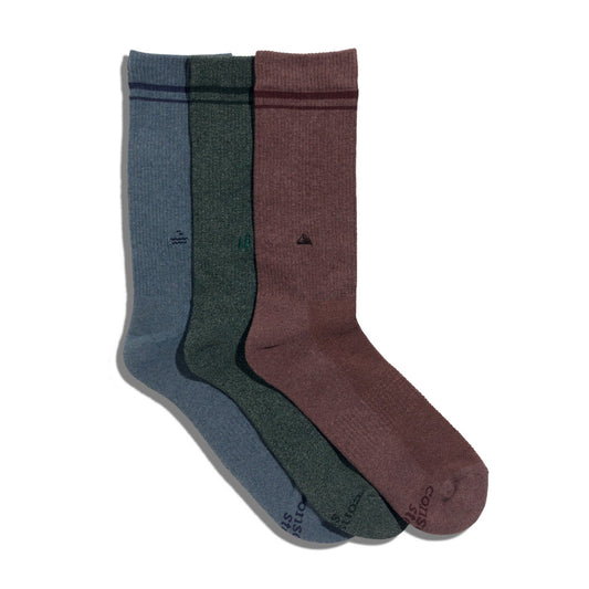 Conscious Step Socks (2026)